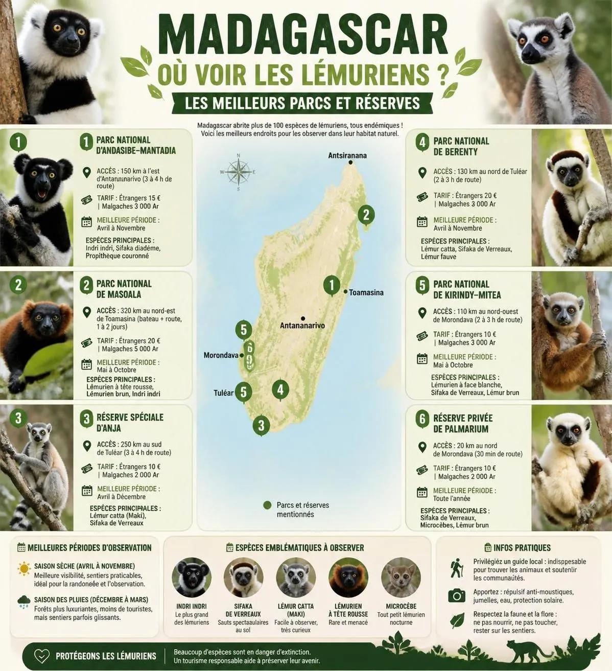 découvrez madagascar, ses lémuriens uniques, ses parcs naturels préservés et un guide de voyage complet pour préparer votre aventure inoubliable.